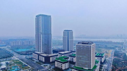 揚州生態科技新城三項目入選省重點清單，以軟件驅動“兩業融合”新篇章